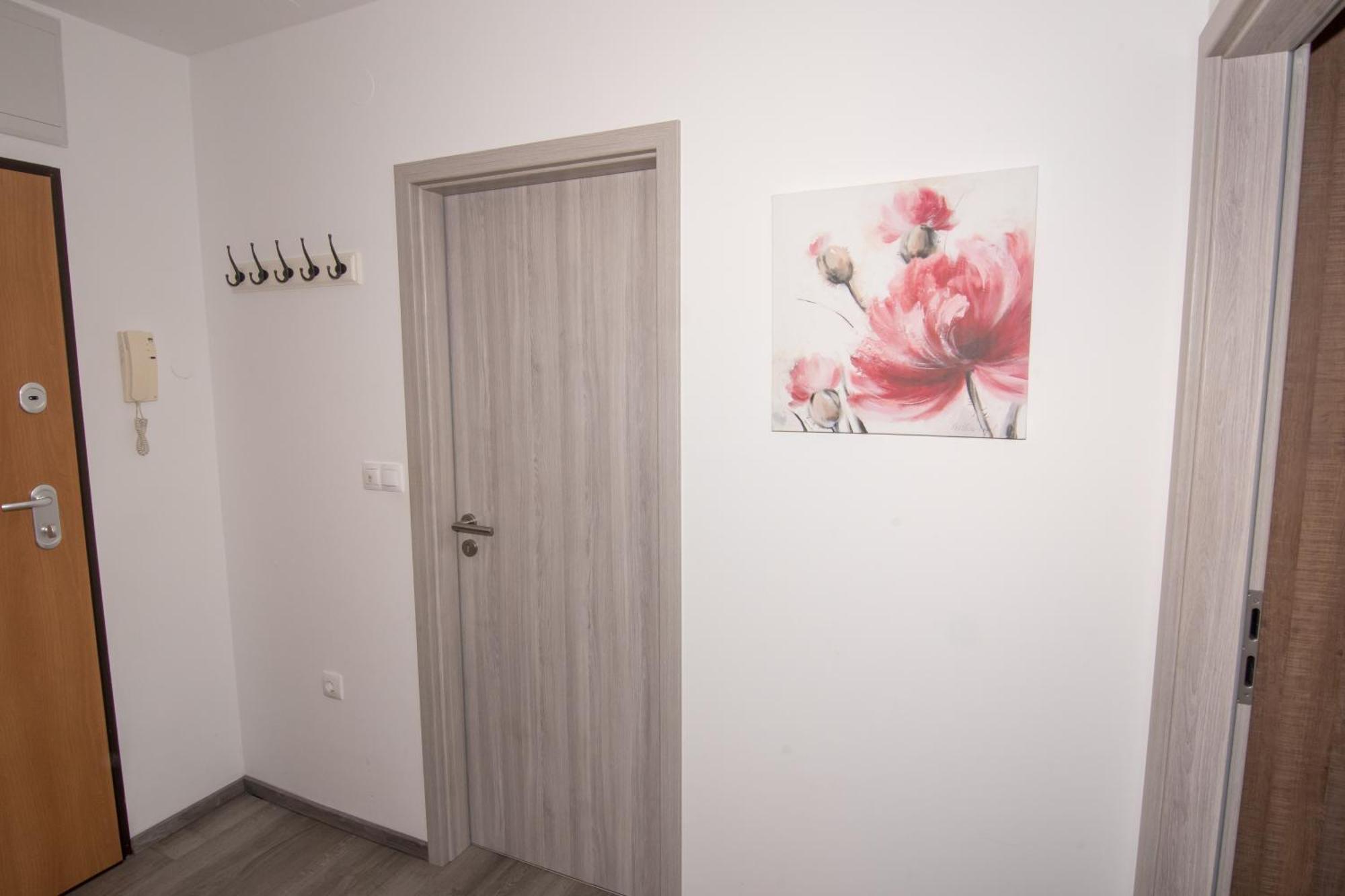 Apartmaji Aida Moravske Toplice Bagian luar foto